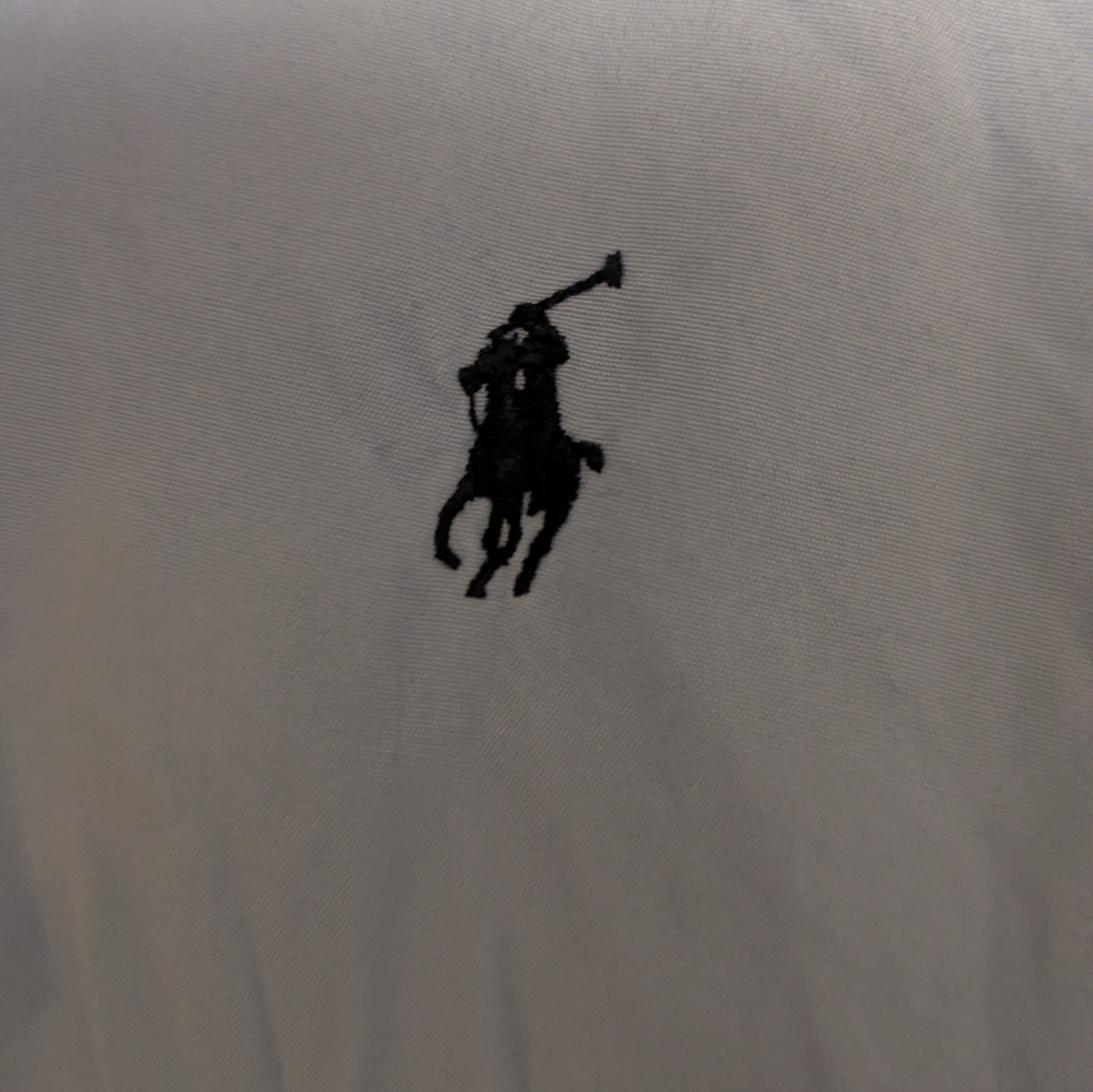 Polo Ralph Lauren Custom Fit Sueded Broadcloth Shirt - Picture 5 of 5
